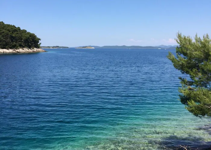 Апартаменты Sandro *