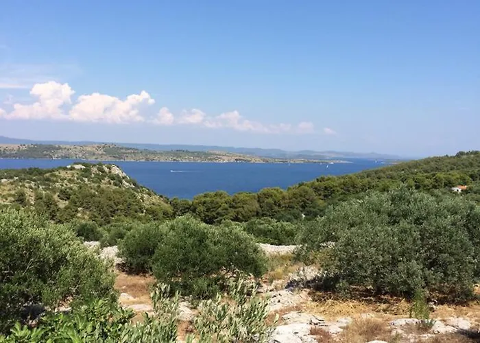 Appartement Sandro *